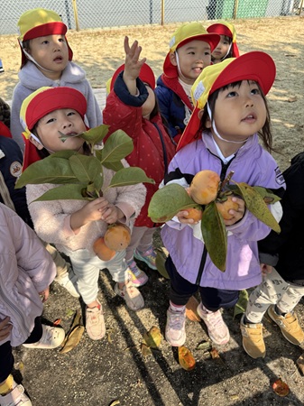 You are currently viewing 園の畑で柿狩り🍂